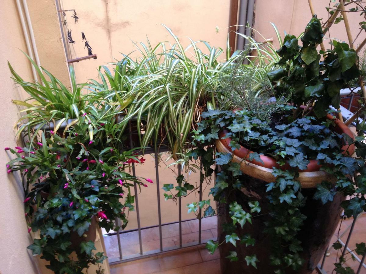 Oasis In The Heart Of Firenze Eksteriør bilde